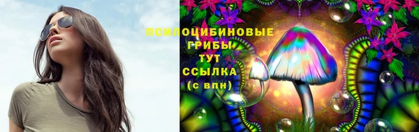 шишки Карпинск