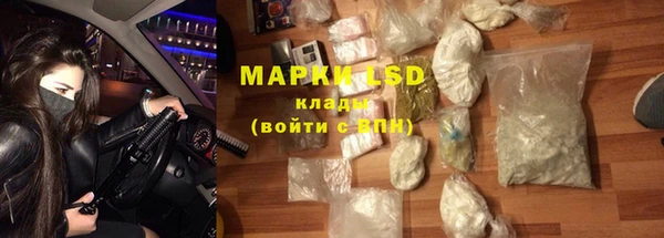 шишки Карпинск