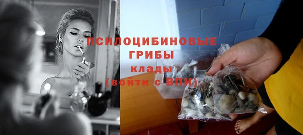 шишки Карпинск
