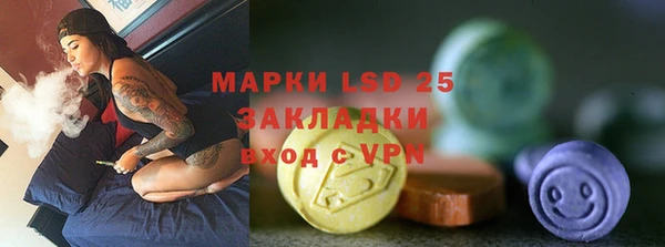 шишки Карпинск