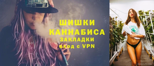 шишки Карпинск
