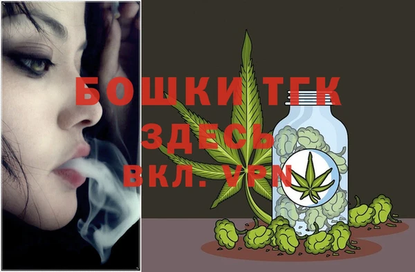 шишки Карпинск