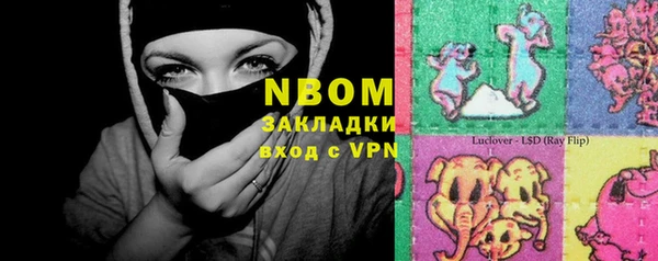 шишки Карпинск