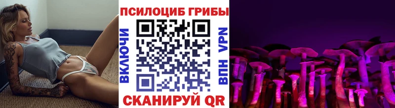Купить закладки  Закаменск  Псилоцибиновые грибы прущие грибы 